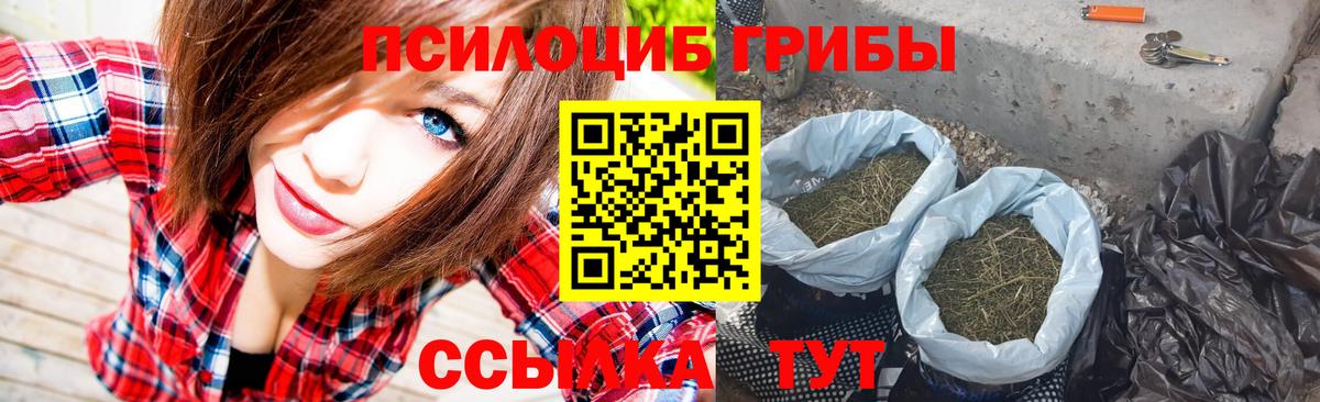 Галлюциногенные грибы MAGIC MUSHROOMS Нурлат